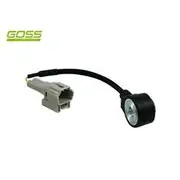 RAE Knock Sensor - K1572