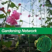 Garden Plant Climbing Net Trellis Netting Mesh Support Veggie Fruits