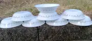 NEW - SET Of 8 CORELLE LIVINGWARE TREE BIRD - 5 3/8" Berry Fruit 10 Ounce BOWLS