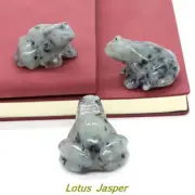 Natural Tianshan Blue Stone Quartz Crystal Carved Frog Reiki Froggy Animal Decor