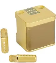 Dual Microphone Karaoke Machine Portable Bluetooth Speaker with 2 Wireless Mic