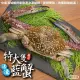 【三頓飯】活凍特大隻藍花蟹(3隻_400-450g/隻)
