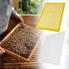 2x Bee Excluder Plate for Separating Queen Bees from Honey Beekeepers Beekeeping
