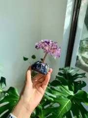 Natural Amethyst Healing Crystal Tree of Life Bonsai Money Tree Crystal Decor