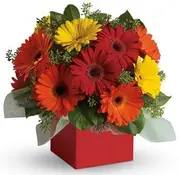Glorious Gerberas - Flower Arrangement