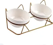Cat Bowls, Double Ceramic Pet Bowls with 15°Tilted Raised Stand for Food and Water, Anti Vomiting Cat Dish Feeder, Perfect for Puppy Cats and Small Dogs (Double Bowls1)