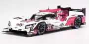 1:18 TRUESCALE Cadillac Dpi-V.R #48 24H Daytona 2022 Top Speed TS0429 Model