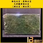 億時代園藝+綠色水苔1公斤(綠水苔、綠水草)裝飾水苔/ 天然觀賞綠水苔 微景觀裝飾 造景 生態缸 生態瓶