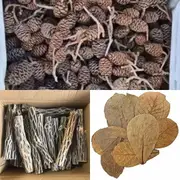 4x Cholla Wood + 12x Alder Cone Pack + 10x Indian Almond Leaves For Fish Shrimp Snail Tank Aquarium
