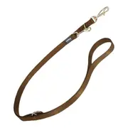 Dog Lead Red Dingo Brown 2.5 x 200 Cm