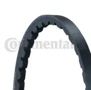 V-Belt fits: CHRYSLER VISION Sedan 3.5 TSi,CHRYSLER VISION 3.5 TSi,MAN M 2000