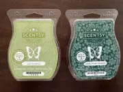Lot of 2 Scentsy Lush Gardenia Garden Fresh Gardenia Wax Bars Tarts Melts