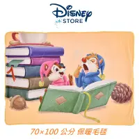 在飛比找蝦皮購物優惠-【雲購】現貨 Disney 日本迪士尼商店 奇奇蒂蒂 毛毯 