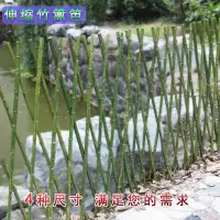 在飛比找蝦皮購物優惠-【園藝商城】伸縮仿真竹子植物竹籬笆柵欄圍牆護欄裝飾花園竹竿花