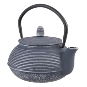NEW TEAOLOGY CAST IRON TEAPOT Tea Pot Brew Strainer LINEAR BLUE SILVER 600ml