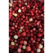 CRANBERRIES & WHITE MUSK Fragrance Oil for making Candles, Soaps, Wax Melts etc.
