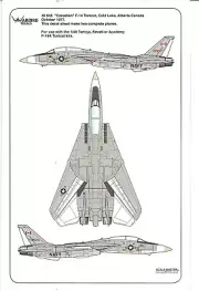 Warbird F-14A Tomcat, Cold Lake, Alberta Canada, Decals 1/48 045