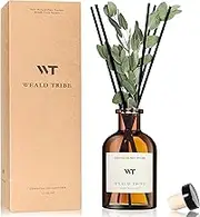 Reed Diffuser Set for Bathroom Air Fresheners, Oil Diffuser Sticks with Flower | Eucalyptus & Mint Scent 4.0 fl oz Home Fragrance with Sticks Defusers | House Bedroom Office Shelf Decor
