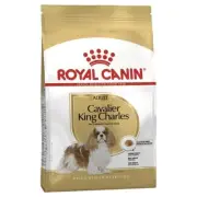Royal Canin Cavalier King Charles Adult Dog Food 3 Kg--Free And Fast shipping