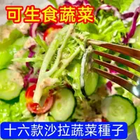 在飛比找蝦皮購物優惠-💥💥【沙拉專用蔬菜種子】可生食蔬菜 沙拉專用蔬菜 菜籽 櫻桃