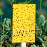 10pcs Yellow Sticky Insect Aphid Whitefly Thrip Gnat Fruitfly Leafminer Trap