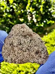 meteorite: NWA 13272- Weigh 2.038 Grams - Beautiful Slice, Rare Ung Achondrite
