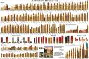 American Standard Bullet Comparison Guide Chart Print Poster