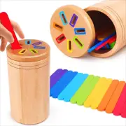 Montessori Wooden Color Sorting Toys for Toddlers Age 1-3 Educational Sensory Ga
