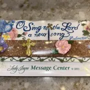 Vintage 2003 Lady Jayne Message Center Magnetic Cork Strip W/ Push Pins Plaque