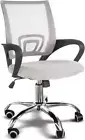 Ergonomic Office Chair with Breathable Mesh Design and Lumbar Back Support, Desk