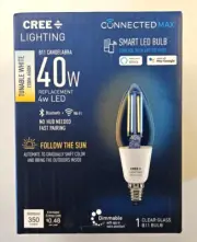 Cree Connected Max Smart Led Vintage Glass Filament Bulb Candelabra Light Bulb