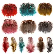 120Pcs Crafts Art Coloured Feathers, 6 Colors Mini Pheasant Feathers 4-8Cm for D