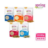 在飛比找momo購物網優惠-【spring 曙光】貓用無穀冷凍生食點心 20-60g/包