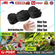 Bird Netting Net Anti Pest Commercial Fruit Trees Plant Mesh 5x10m/20m/30m Black