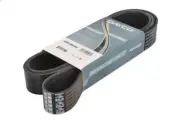 V-Ribbed Belt DAYCO 10PK1850HD for ZETROS 12.0 2017-
