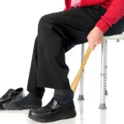 2 Pcs 2PCS Shoe Tool Long Handle Log Shoehorn Elderly Mobility Short