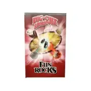 Dig Out & Discover Kit Large - Fun Rocks