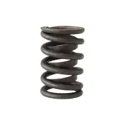 Aeroflow Replacement Aeroflow Dual Valve Spring With Dampner Suit for Chevy BB