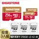 GIGASTONE Camera Pro MAX microSDXC UHS-Ⅰ U3 256GB攝影高速記憶卡-3入組(256G A2 4K)