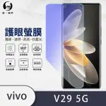 【O-ONE】VIVO V29 5G 滿版抗藍光手機螢幕保護貼