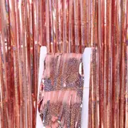 Laser Glitter Rose Gold Foil Fringe Curtain