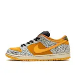 NIKE SB 運動鞋 新品 CD2563-002