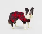 Dog and Cat Holiday Tartan Print Matching Family Pajama Set - Wondershop™ Large