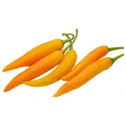 Chilli - Siam Yellow seeds