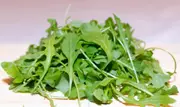 WILD ROCKET / Diplotaxis tenuifolia seeds