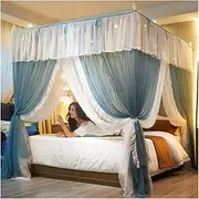 Bed Canopy Bed Canopy with Stainless Steel Rails, 3 Doors Design - Double Mesh Mosquito Net, Decorative Bed Curtain for Girls Room (Color : Style 2, Size : 200x220x200cm)