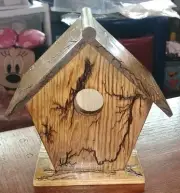 Lichtenberg Fractal Burned Electrocuted Birdhouse Outdoors Stained.