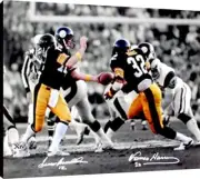 Terry Bradshaw and Franco Harris Floating Canvas Wall Art