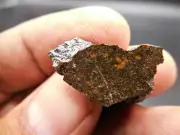 AWESOME 3.80 gram VACA MUERTA METEORITE mesosiderite thin slice - found in Chile