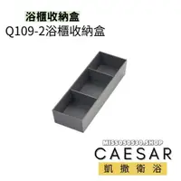在飛比找蝦皮購物優惠-Caesar 凱撒衛浴 浴櫃收納盒 抽屜收納盒 收納盒 Q1